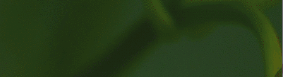 theevernatural20220416_1001005.gif