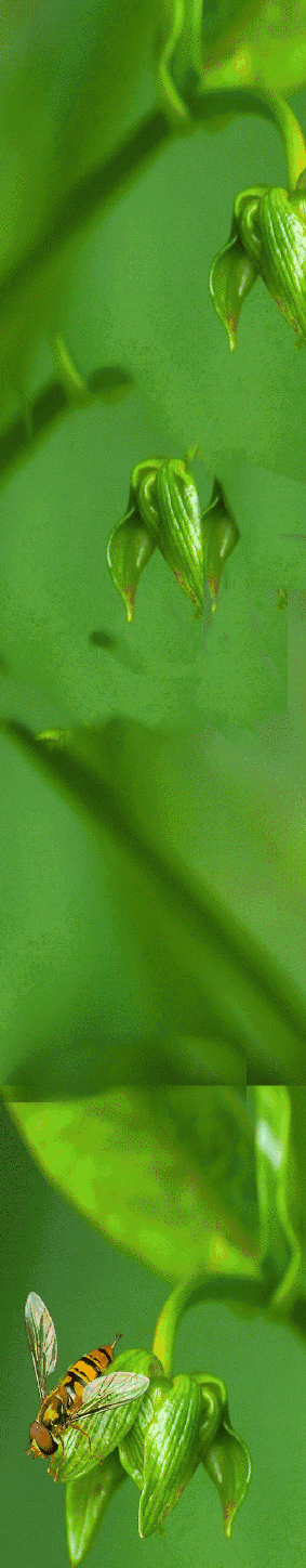 theevernatural20220416_1003004.gif